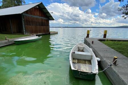 Badesee: So lässt sich die Algenblüte stoppen